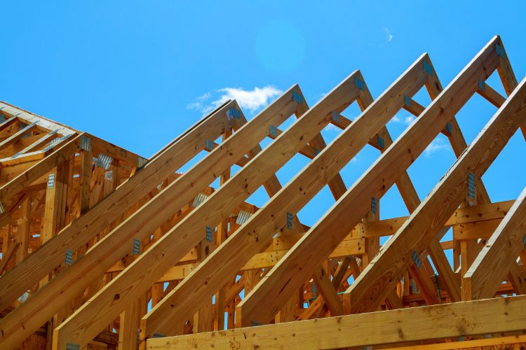 Pourquoi cela coûte-t-il moins cher de construire une maison en bois ? Guadeloupe